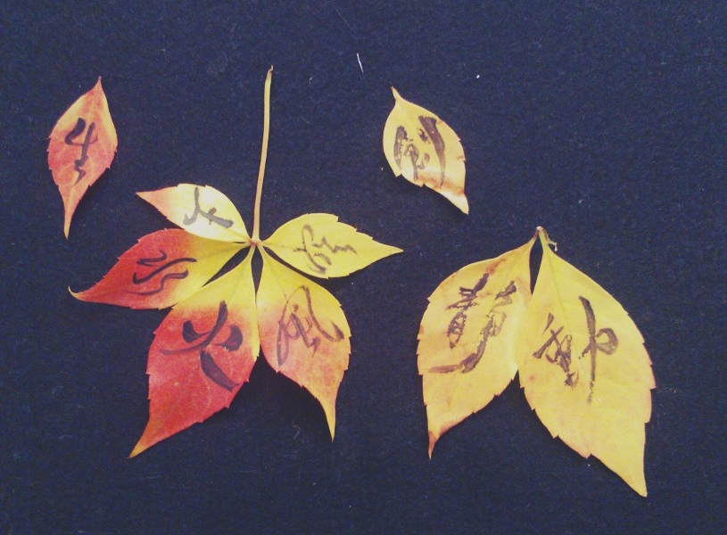 秋の落ち葉アート